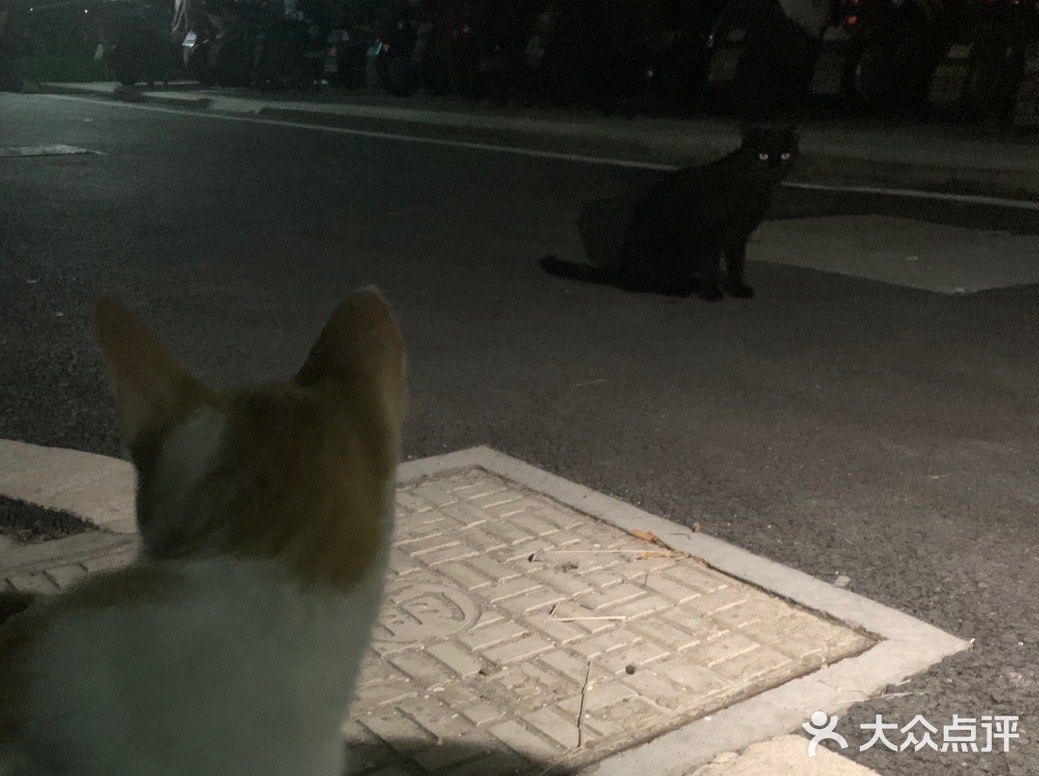 我院天团（26）