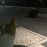 我院天团（26）
