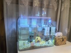 -秀儿家の小确幸融合西餐厅(万达店)