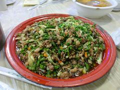 -东吴霸王兔(松青路店)