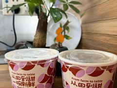 -鲜芋仙(华宇时尚购物中心店)