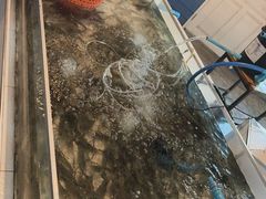 -芭提雅Amporn Seafood自助餐厅