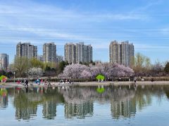 -太阳宫公园