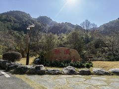 -雁南飞茶田景区