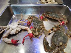 -鲜鲜·鲅鱼圈海鲜(于洪店)