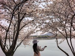 -羊山湖公园