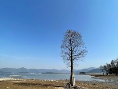 -四明湖