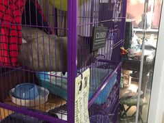 -不止轰趴桌游麻将台球(立水桥店)