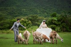 -麦田·婚纱摄影(天河新天地店)