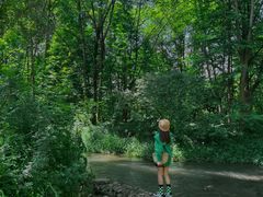 -桤木河湿地公园