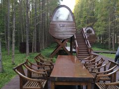 -黄海国家森林公园