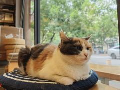 -CENCHI 汵奇咖啡(东四店)