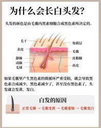 -Bollins波林丝•专研护发中心