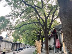-北京国子监胡同