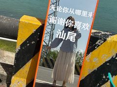 -汕尾风车岛