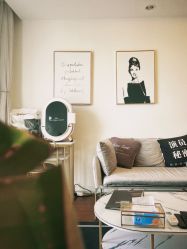 -演员的秘密·皮肤管理