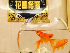 -锦江宾馆-花园餐厅