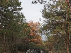 -青龙山国家森林公园