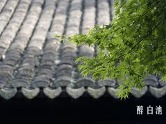 -上海醉白池公园