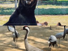 -秦皇岛野生动物园