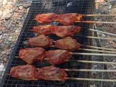 -同銮特种养殖场·龙虾垂钓