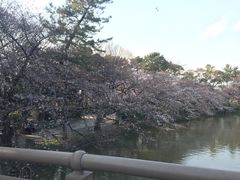 -名古屋城