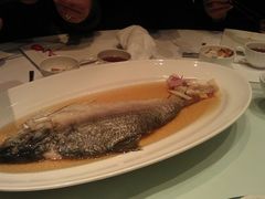 清蒸鲥鱼-福1039(愚园路店)
