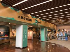 -大阪市立自然史博物馆
