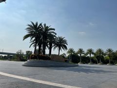 -宝安西湾红树林湿地公园