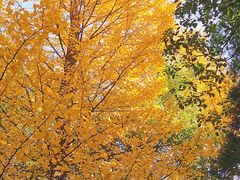 -华山医院-食堂