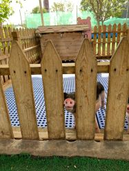 -萌宠亲子动物乐园(槐房万达店)