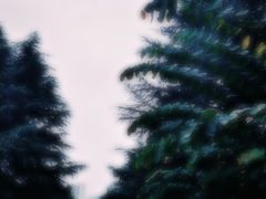 -白塘生态植物园