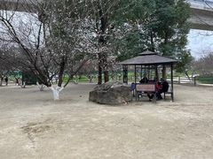 -秀丽东方