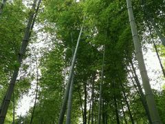 -南山风景名胜区