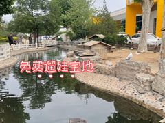 -东方时尚驾校(总部)