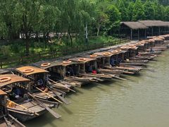 -溱湖国家湿地公园