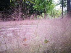 -苏州河梦清园环保主题公园