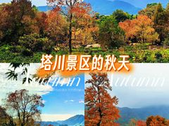 -塔川景区