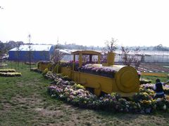 东篱菊园-三圣花乡旅游区