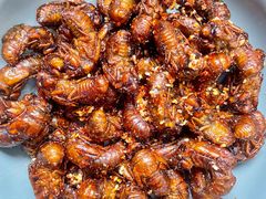 -苏州河梦清园环保主题公园