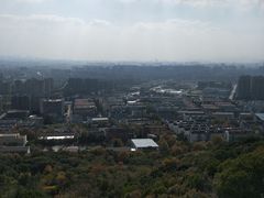 -杭州半山国家森林公园