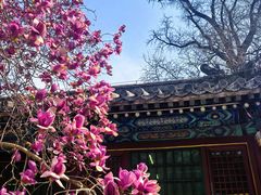 -潭柘寺景区