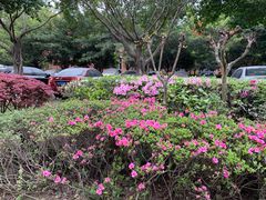-四川大学(望江校区)