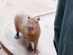 -正佳雨林生态植物园