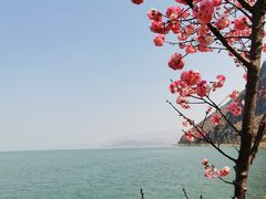 -大理洱海
