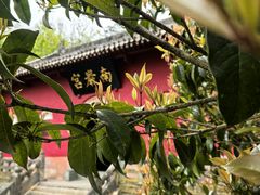 -武当山风景区