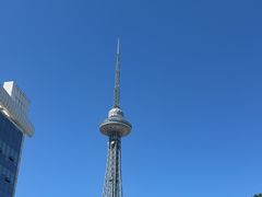 -龙塔