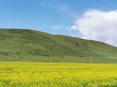-扁都口生态休闲旅游区