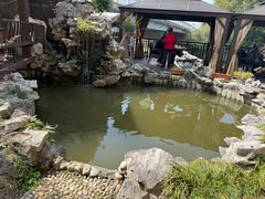 -漫渡庄绿岛花园•隐世庭园菜(滨湖店)