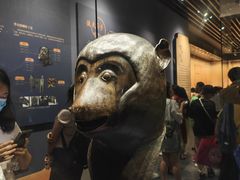 -广西壮族自治区博物馆